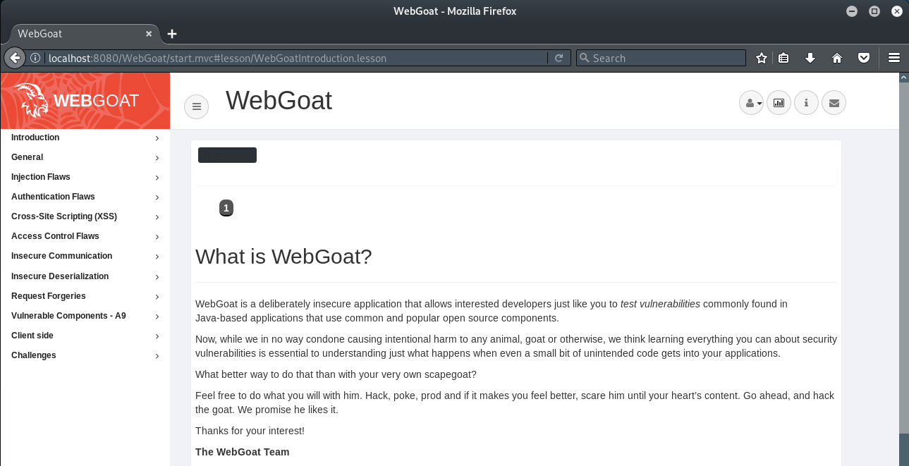 writing new lesson webgoat